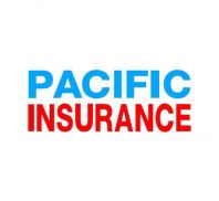 Pacific Windscreen Panel