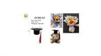 Mini Graduation Hat / Convo Hat 5cm x 5cm For Decorate (DCBR-015)