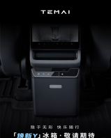 Temai In-Car Refrigerator