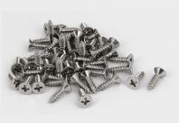 Flat Screw Self Tapping Screw #TS