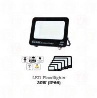 LED Floodlight 30W (IP66)
