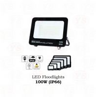 LED Floodlight 100W (IP66)