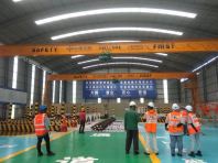 Double Girder Electric Overhead Traveling (EOT) Crane