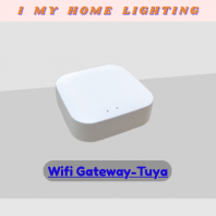 Magnetic Wifi Gateway-Tuya