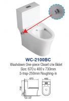 WC-2100BC RIMLESS ONE PIECE CLOSET WITH BIDET S-TRAP 250MM