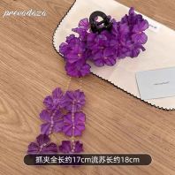 �����������շ�����ɫ