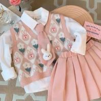 ��ɫ����