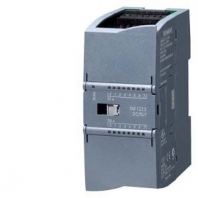 SIMATIC S7-1200, Digital I/O SM 1223, 8 DI/8 DO, 8 DI 24 V DC, Sink/Source, 8 DO, relay 2 A