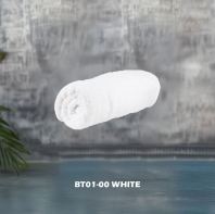 BT01-00 White BT01-00 White