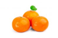 Baby Mandarin / Tangerine ɰ�ǽ�