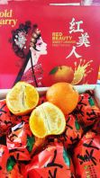 Red Beauty Jelly Orange �����˹�������