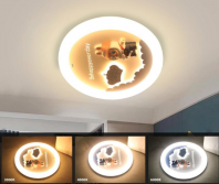 Ceiling Light