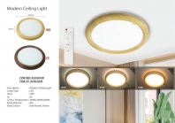 Ceiling Light