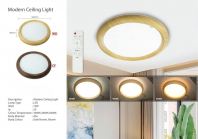 Ceiling Light