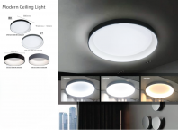 Modern Ceiling Light Modern Ceiling Light