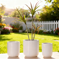 Ceramic Flower Pot Wholesale PC1247-19818-3 Nordic Flowerpot Ceramic Home White Extra Large 40cm Large Diameter Floor-Standing Large Pot Monstera Money Tree Special ±±Å··çÌÕ´É»¨Åè ¼ÒÓð×É«ÌØ´óºÅ 40cm´ó¿Ú¾¶ÂäµØÊ½´ó»¨Åè ÊÊÓÃÓڹ걳Öñ¡¢·¢²ÆÊ÷רÓà Ceramic Flower Pot Wholesale PC1247-19818-3 Nordic Flowerpot Ceramic Home White Extra Large 40cm Large Diameter Floor-Standing Large Pot Monstera Money Tree Special ±±Å··çÌÕ´É»¨Åè ¼ÒÓð×É«ÌØ´óºÅ 40cm´ó¿Ú¾¶ÂäµØÊ½´ó»¨Åè ÊÊÓÃÓڹ걳Öñ¡¢·¢²ÆÊ÷רÓÃ
