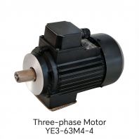 3 Phase Motor YE3-63M4-4 