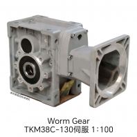 Worm Gear TKM38C-130 1:100