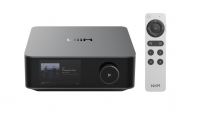WIIM Amplifier Ultra