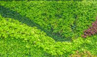 Green Walls & Vertical Gardens