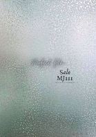 Frosted Pattern Film -111