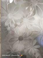 Frosted Pattern Film -WS878PP