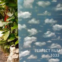 Frosted Colour Pattern Film 1033