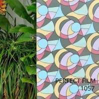 Frosted Colour Pattern Film 1057