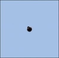 SCREW (SE36400707L)