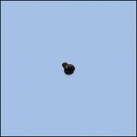 SCREW 11/64-40 L=78 (SJ44400907M)