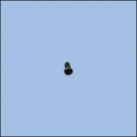 SCREW 15/64-28 L=11.8 (SK60281007F)