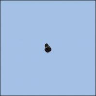 SCREW (SK60281207F)