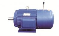 YEJ Series Electromagnetic Brake Three-Phase Asynchronous Motor Supplier Malaysia | KL, Selangor, Johor, Kuantan & Pahang