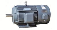 YVFE2 Series Variable Frequency Three Phase Asynchronous Motor Supplier in Malaysia | KL, Selangor, Johor, Kuantan & Pahang