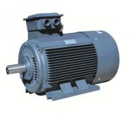 YE3 Series Three Phase Asynchronous Premium Efficiency Electric Motor Supplier Malaysia | IE3 Industrial Motor in KL, Selangor, Johor, Kuantan & Pahang