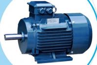SEAMO IE5 4kW 5.5HP Electric Motor
