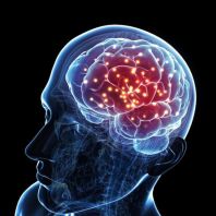 Kesihatan Otak & Ingatan