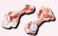 Fresh Pork Big Bone