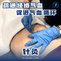 ��ļ��� (�ֲ�)