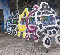 ��ɽ���ӻ�Ȧ