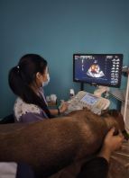 �������೬��������