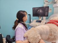 �����ز����۲���������