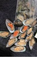 ���/green oysters