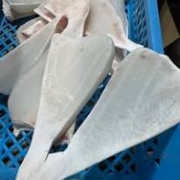 ���㴽/Shark lips