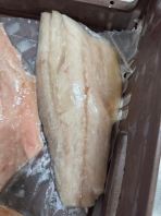 Siakap feilet ʯ����Ƭ