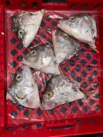 ������ͷ