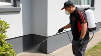 Rat Control Kuala Lumpur - Fast, Safe & Long Term Solution