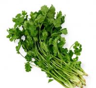 Coriander / Daun Ketumbar