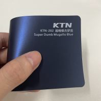 Super Dumb Mugello Blue