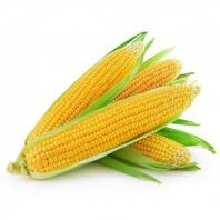 YELLOW SWEET CORN